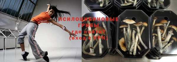 индика Абаза