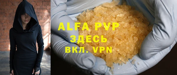 индика Абаза