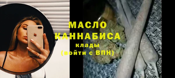 индика Абаза
