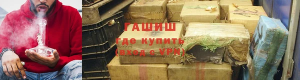 индика Абаза