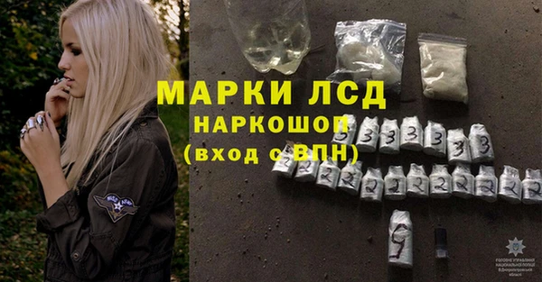 индика Абаза