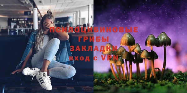 индика Абаза