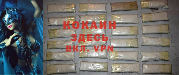 индика Абаза