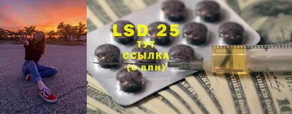 индика Абаза