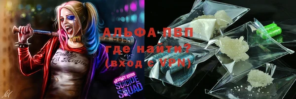 индика Абаза