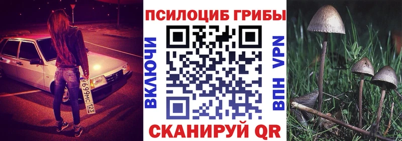 Галлюциногенные грибы GOLDEN TEACHER  как найти   Красный Сулин 