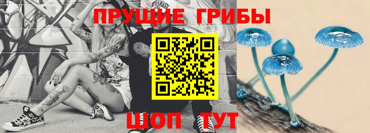 Красный Сулин  закладка  Вход с VPN  Псилоцибиновые грибы Psilocybe 